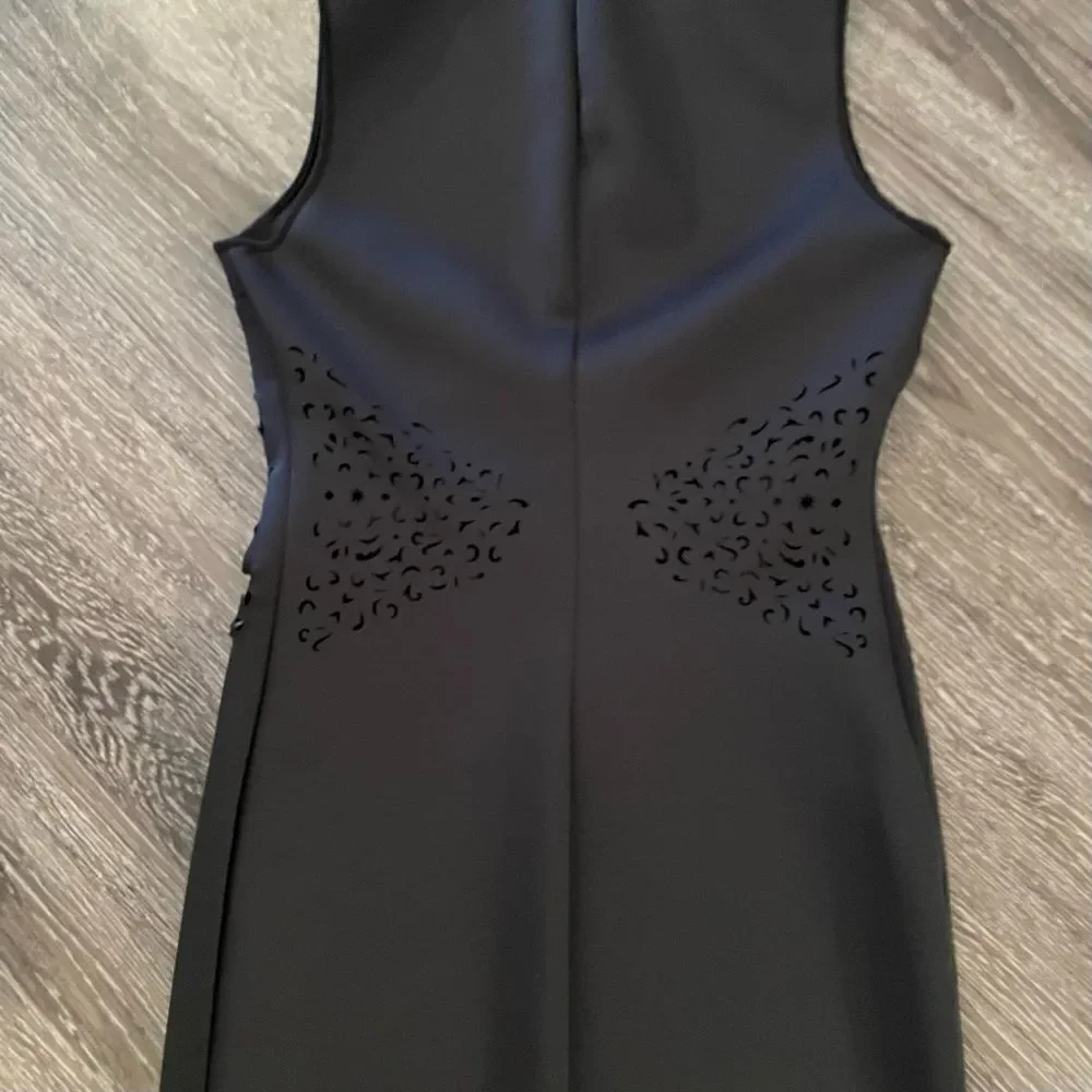 Clover Canyon dress